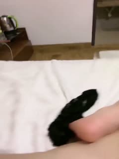 枫与钤